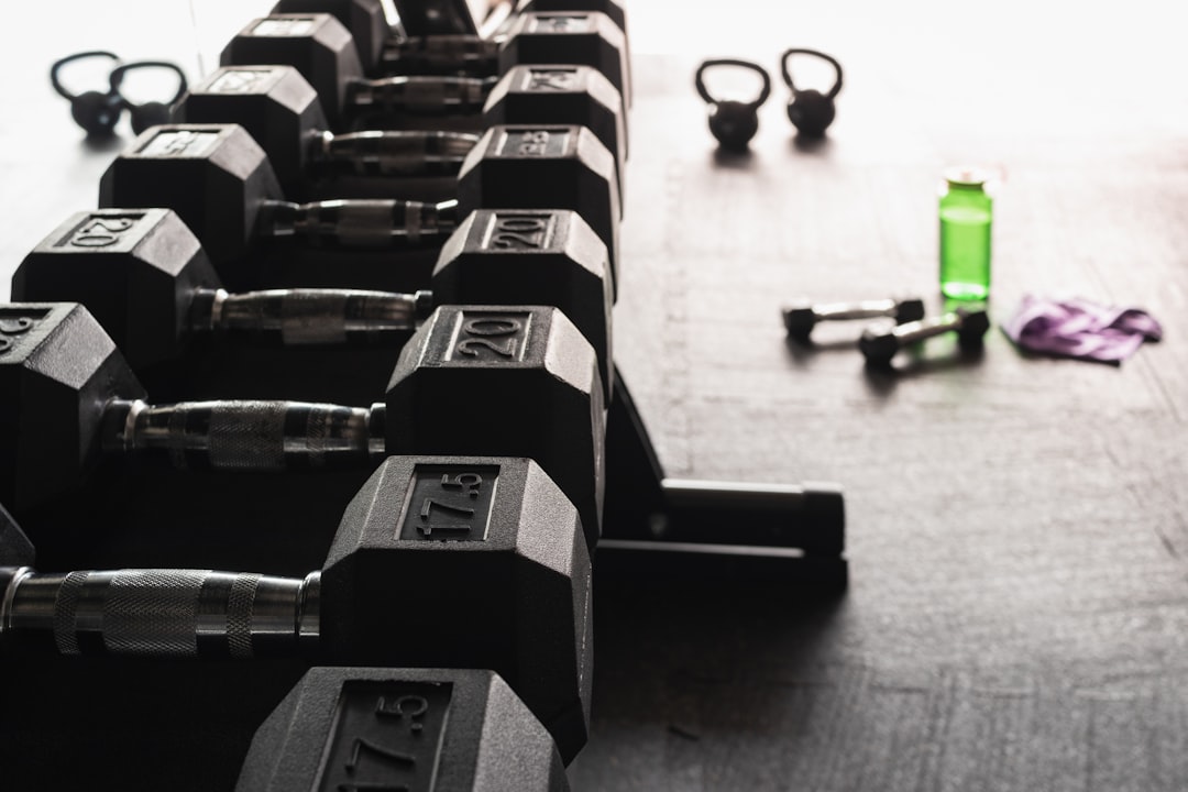 Variety of gym equipment for push, pull, and leg training movements